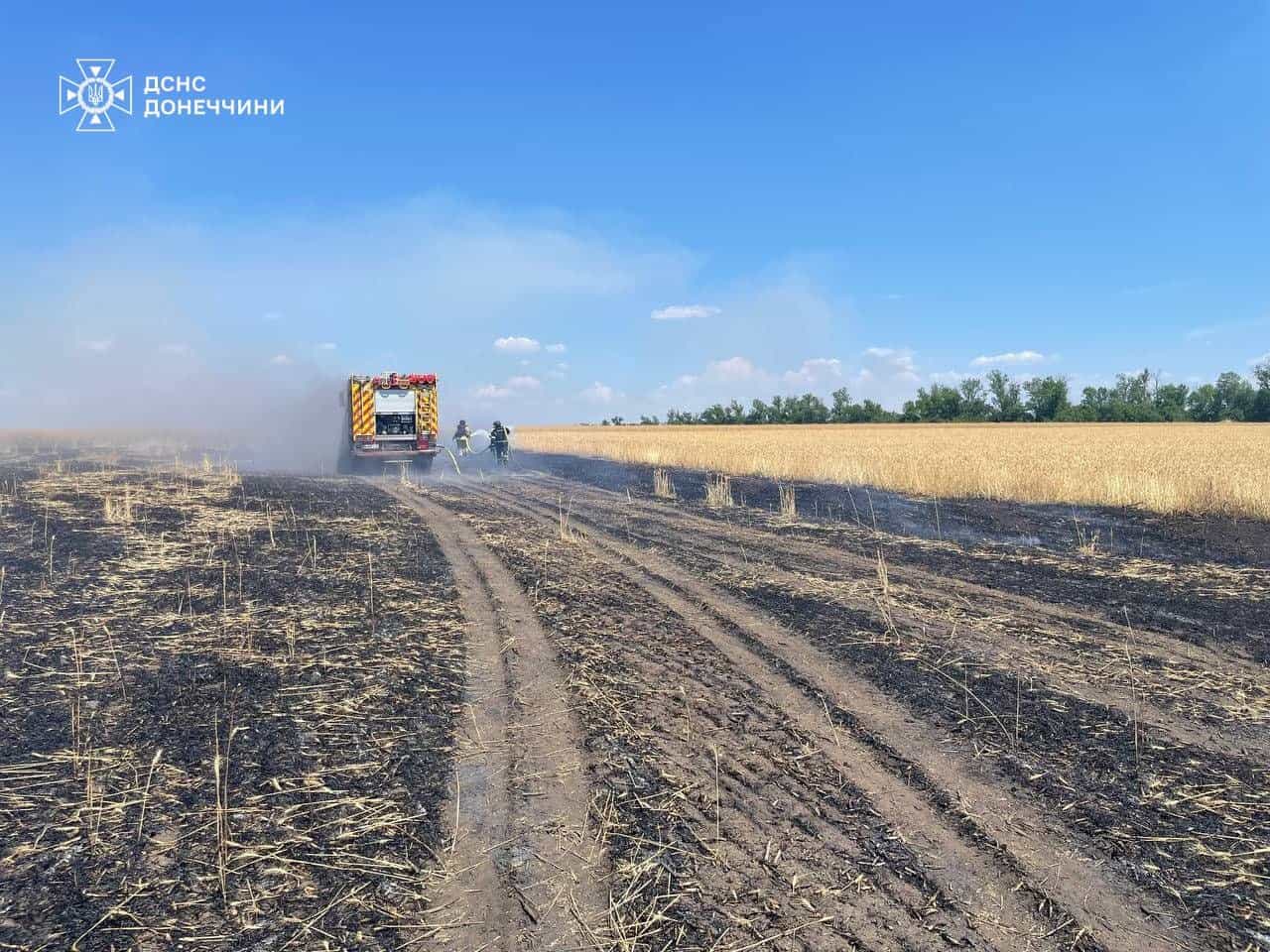 Зображення посту: Ворог навмисно знищує пшеничні поля на Донеччині