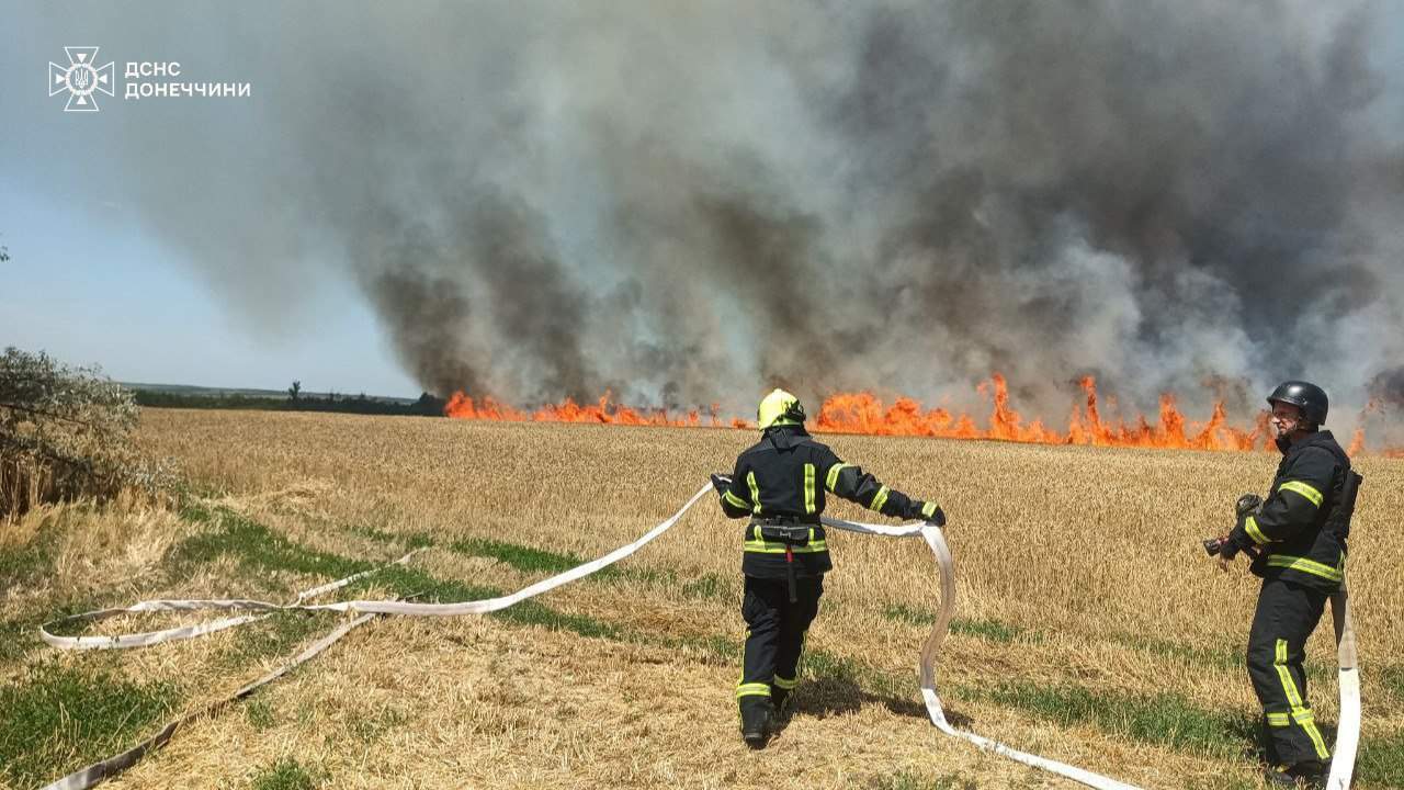 Стаття: 100 гектарів пшеничних полів знищено на Донеччині