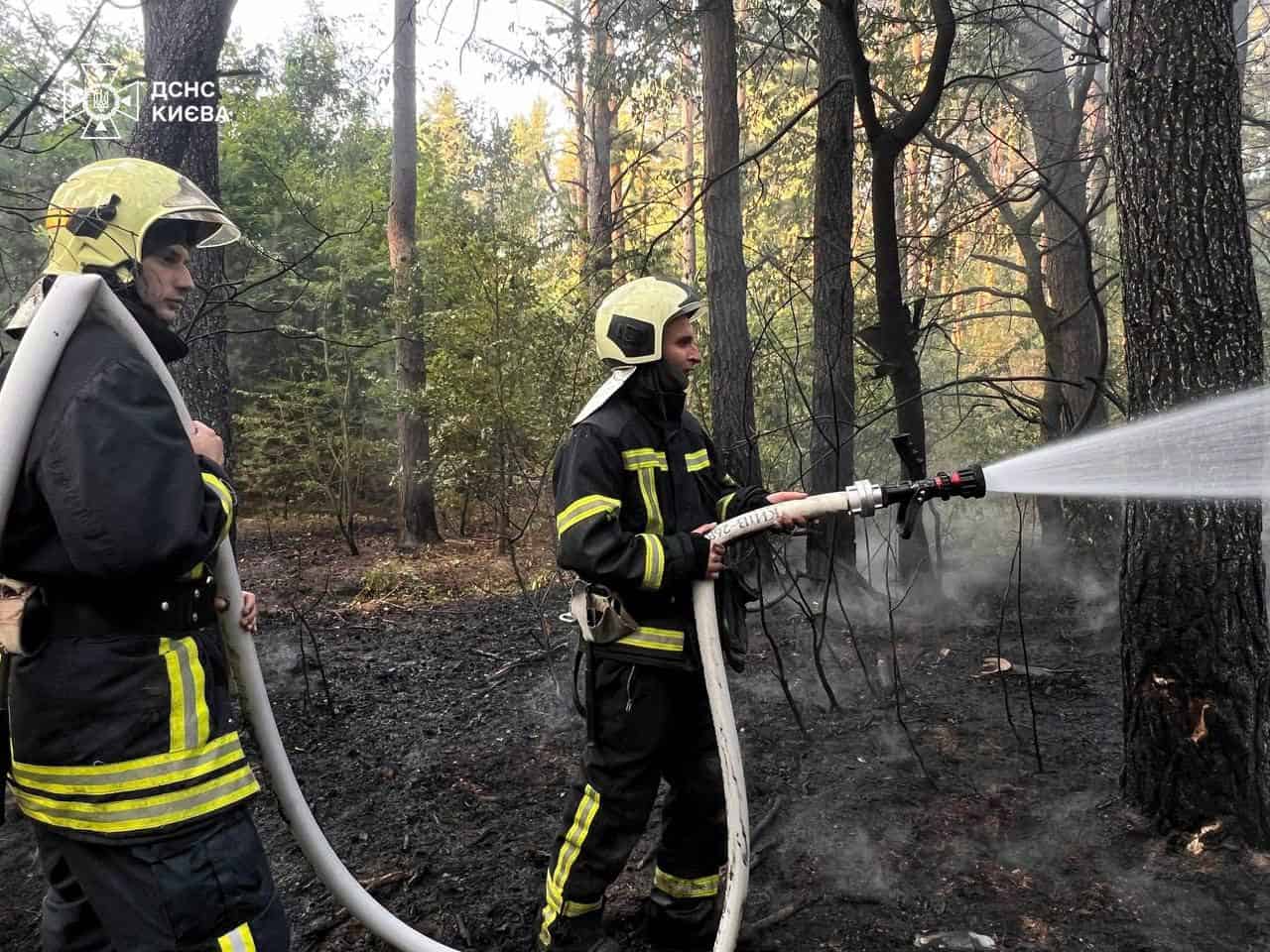 Зображення посту: 60 дронів і п’ять крилатих ракет збито над Україною: ситуація по областях