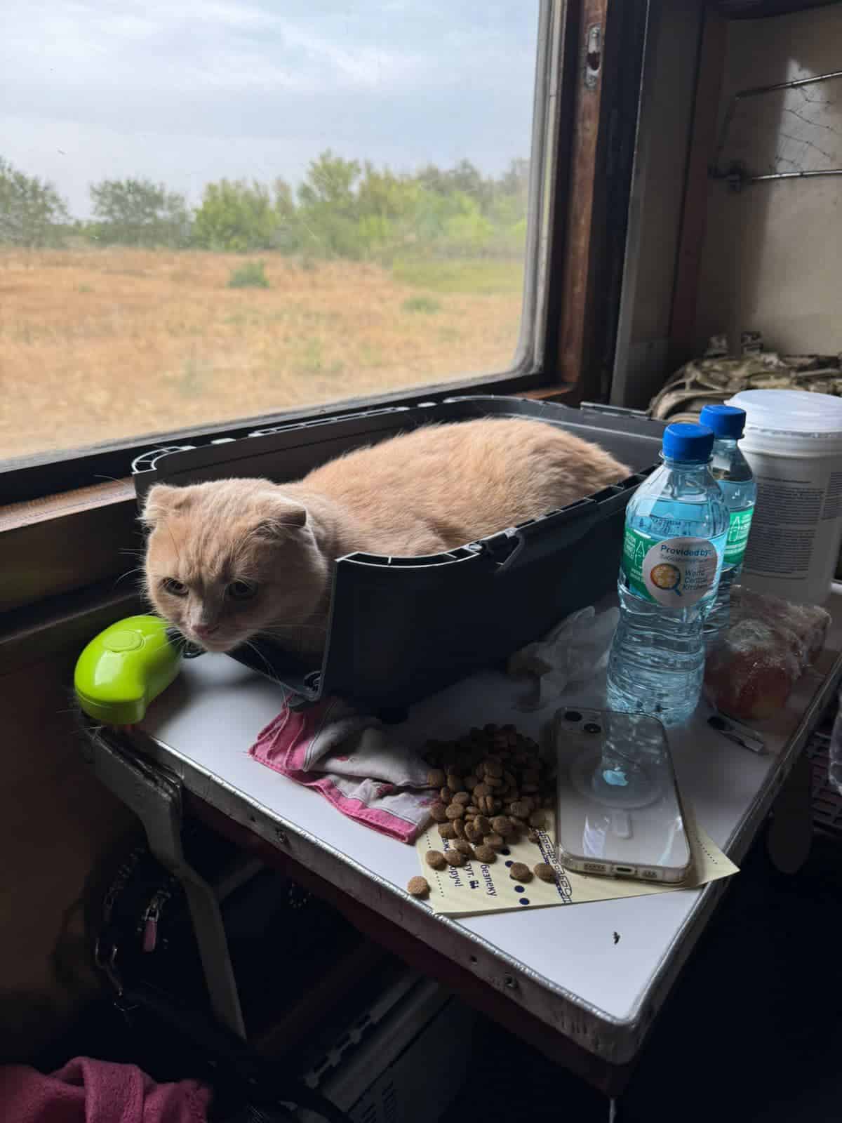 Зображення посту: В «Укрзалізниці» показали фото останнього евакуаційного поїзда з Покровська