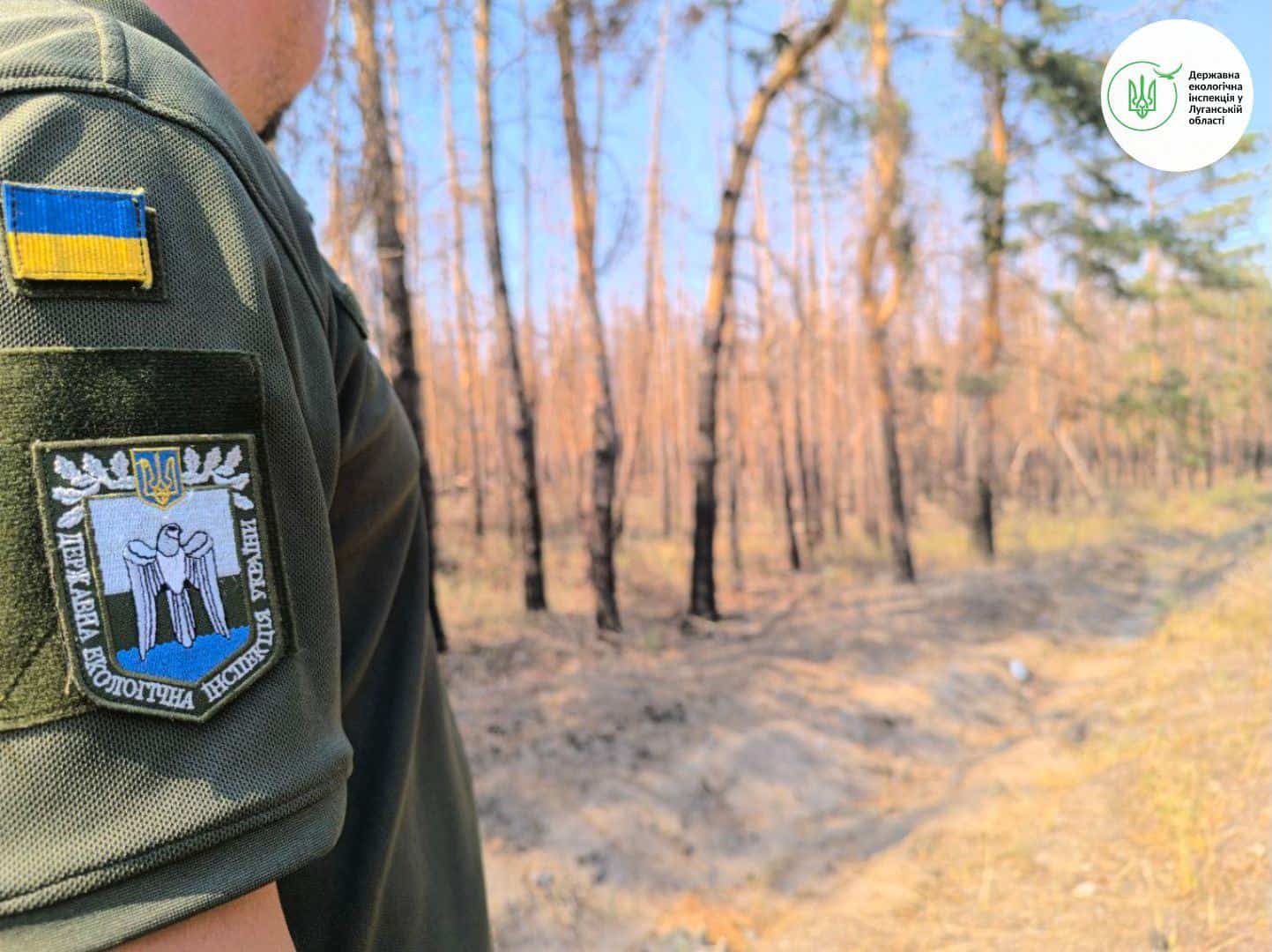 Стаття: Лісові пожежі поблизу окупованого села на Луганщині завдали збитків на понад 40 мільярдів гривень