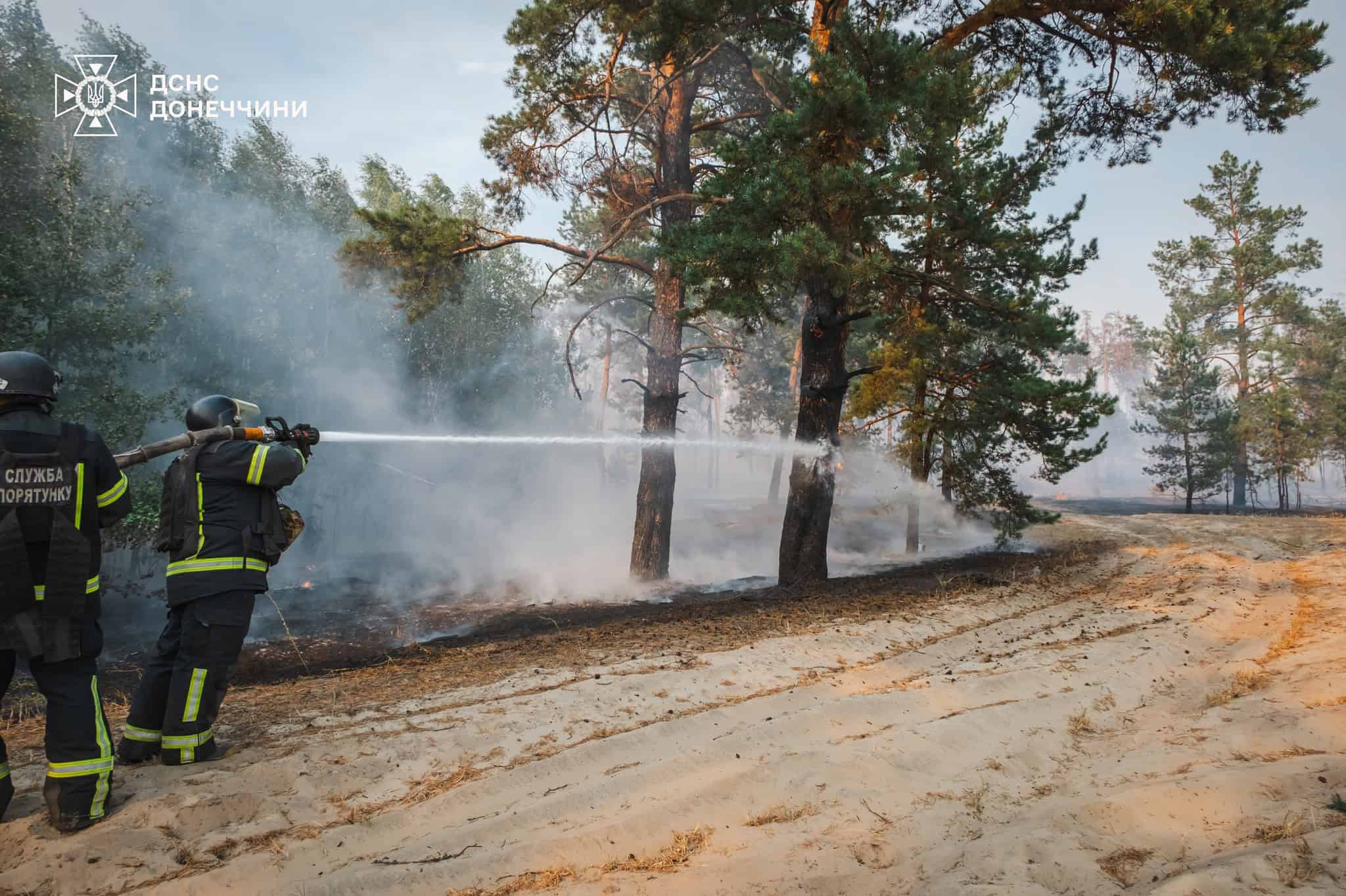 Зображення посту: На Лиманщині вогонь охопив близько 350 га лісу