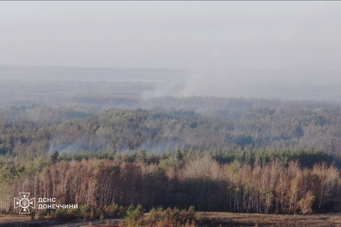 Стаття: На Лиманщині вогонь охопив близько 350 га лісу