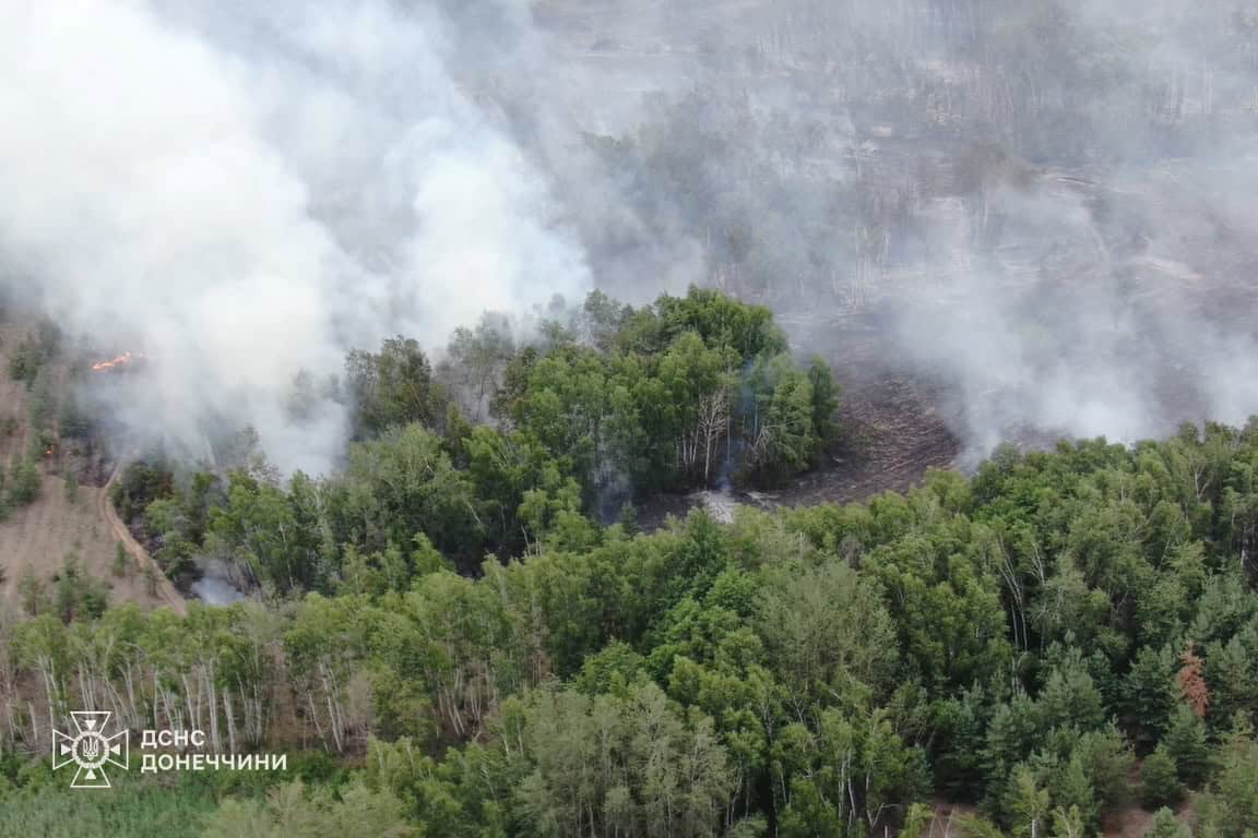 Зображення посту: На Лиманщині вогонь охопив близько 350 га лісу