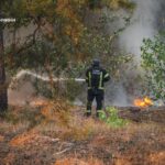 Зображення посту: На Донеччині через дев’ять днів вдалося ліквідували лісову пожежу