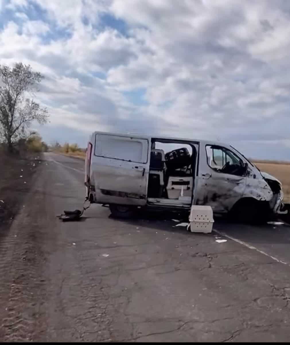 Стаття: «Снаряд розірвався поруч із машиною»: окупанти поцілили у зооволонтерів