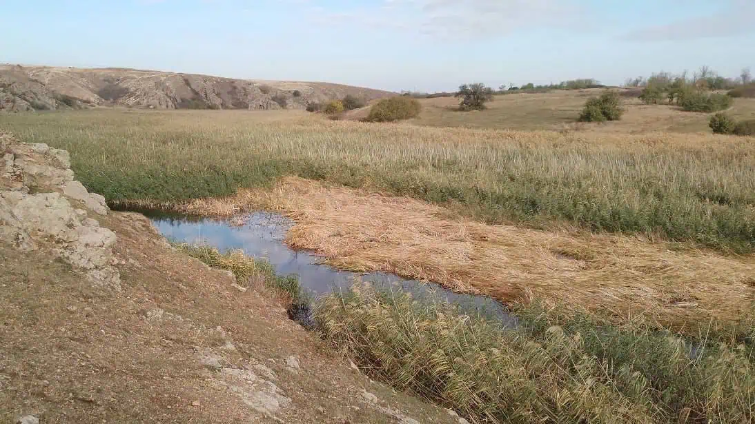 Зображення посту: Бердянськ повністю відключили від водопостачання