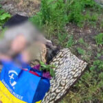 Зображення посту: «Стукала у вікно, аби її почули»: з Покровська евакуювали ліжкохвору бабусю