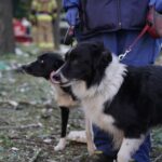 Зображення посту: Росія масовано обстріляла Київ ракетами та дронами: що відомо