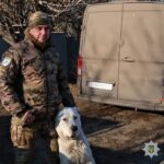 Зображення посту: Поруч із фронтом  або в тилу — з підтримкою: як громади і волонтери дають другий шанс переселенцям