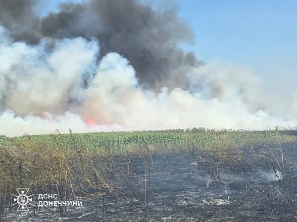 Зображення посту: Росіяни цілеспрямовано знищують обстрілами урожай на Донеччині