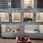 Зображення посту: Поруч із фронтом  або в тилу — з підтримкою: як громади і волонтери дають другий шанс переселенцям