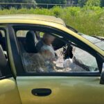 Зображення посту: Росіяни вбили 8 людей на Донеччині: серед загиблих — мешканці Родинського і Костянтинівки